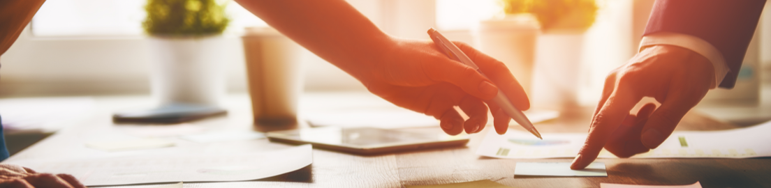 Войтешик ЧУП 